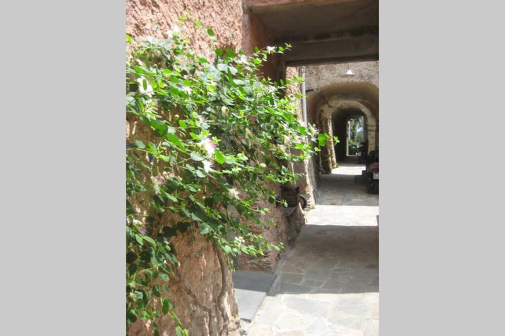 La Casa Di Sandra A Noli Βίλα Εξωτερικό φωτογραφία