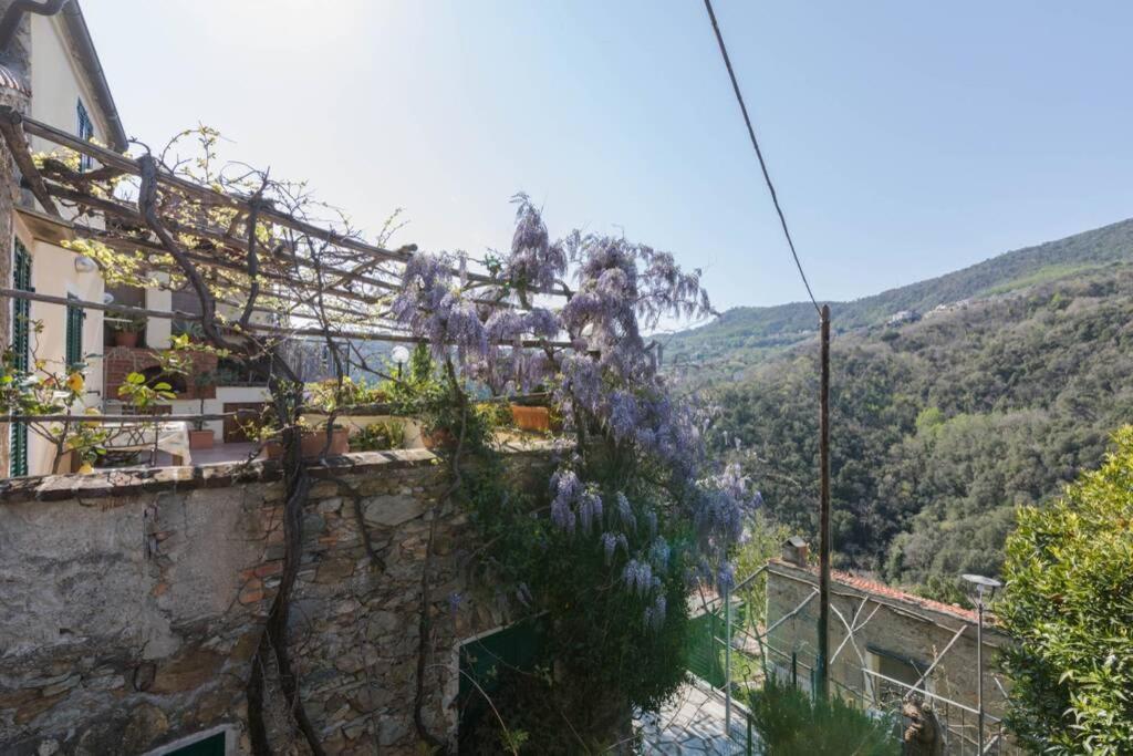 La Casa Di Sandra A Noli Βίλα Εξωτερικό φωτογραφία