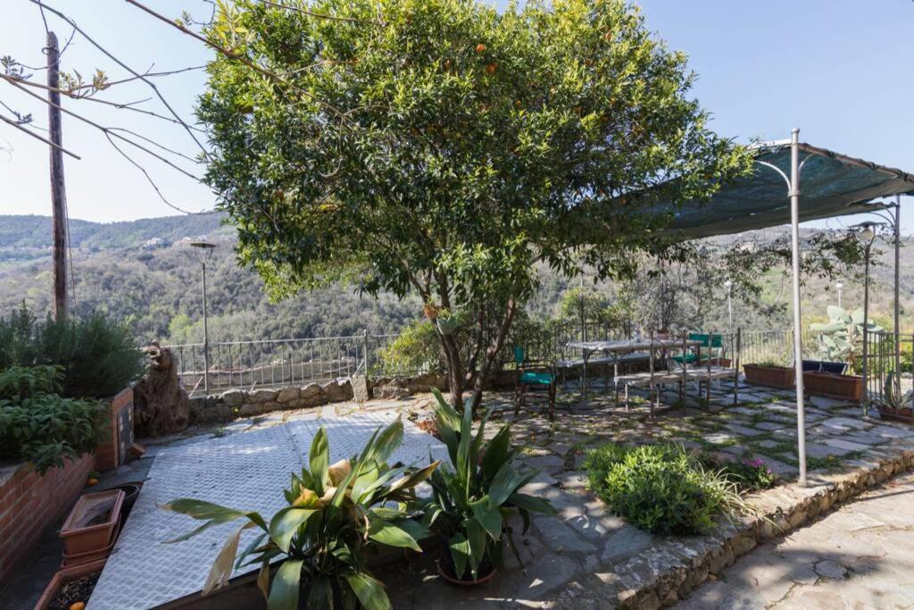 La Casa Di Sandra A Noli Βίλα Εξωτερικό φωτογραφία