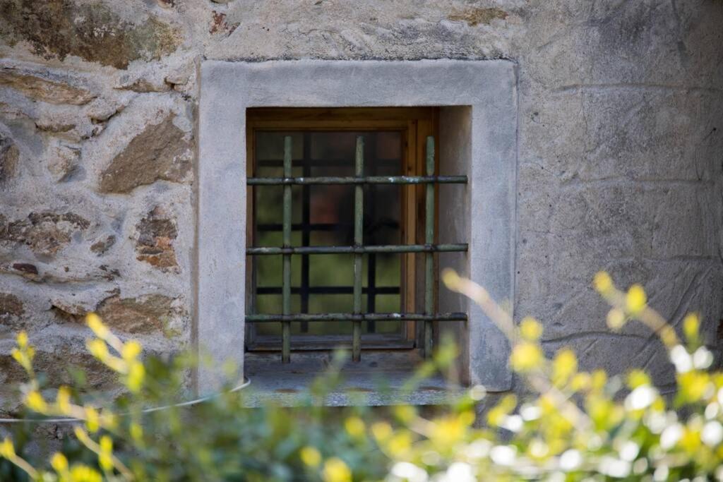 La Casa Di Sandra A Noli Βίλα Εξωτερικό φωτογραφία