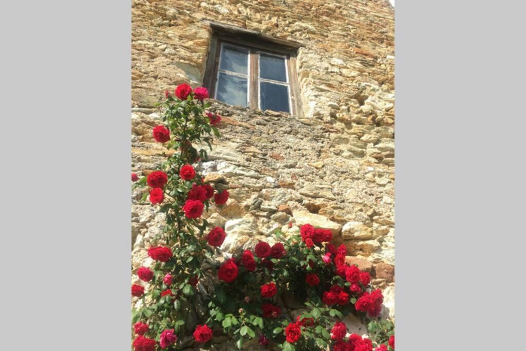 La Casa Di Sandra A Noli Βίλα Εξωτερικό φωτογραφία
